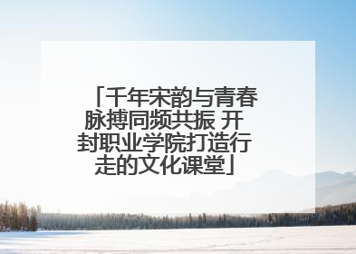 千年宋韵与青春脉搏同频共振 开封职业学院打造行走的文化课堂